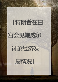特朗普在白宫会见鲍威尔 讨论经济发展情况