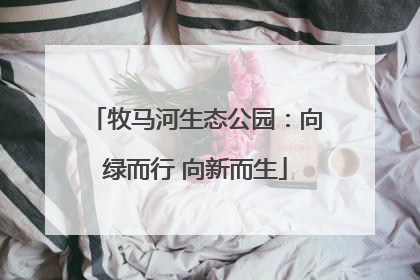 牧马河生态公园：向绿而行 向新而生