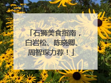 石狮美食指南，白岩松、陈晓卿、周智琛力荐！