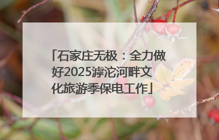 石家庄无极：全力做好2025滹沱河畔文化旅游季保电工作