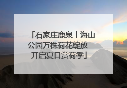 石家庄鹿泉丨海山公园万株荷花绽放 开启夏日赏荷季