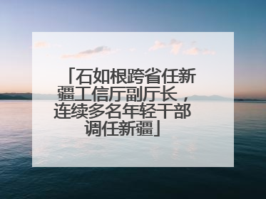石如根跨省任新疆工信厅副厅长，连续多名年轻干部调任新疆