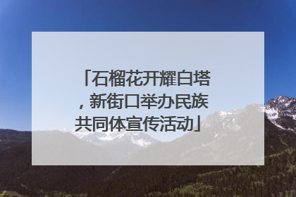 石榴花开耀白塔，新街口举办民族共同体宣传活动