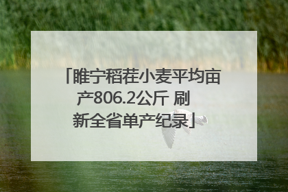 睢宁稻茬小麦平均亩产806.2公斤 刷新全省单产纪录