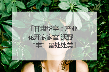 甘肃华亭：产业花开家家富 沃野“丰”景处处美