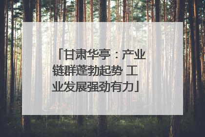 甘肃华亭：产业链群蓬勃起势 工业发展强劲有力