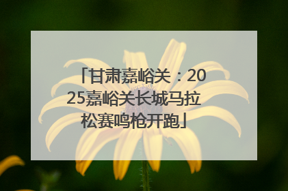 甘肃嘉峪关：2025嘉峪关长城马拉松赛鸣枪开跑
