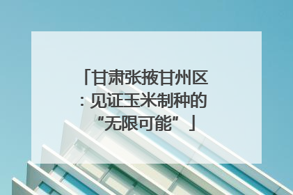 甘肃张掖甘州区：见证玉米制种的“无限可能”
