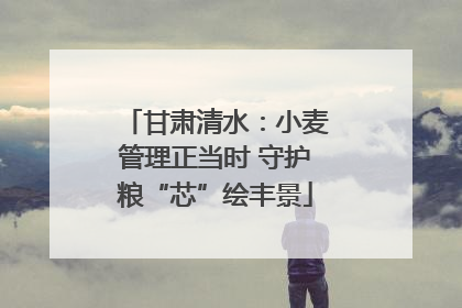 甘肃清水：小麦管理正当时 守护粮“芯”绘丰景
