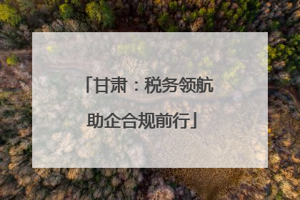 甘肃：税务领航 助企合规前行