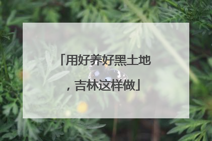 用好养好黑土地，吉林这样做