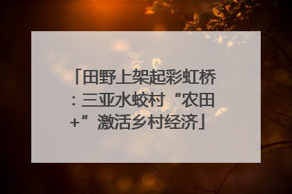 田野上架起彩虹桥：三亚水蛟村“农田+”激活乡村经济