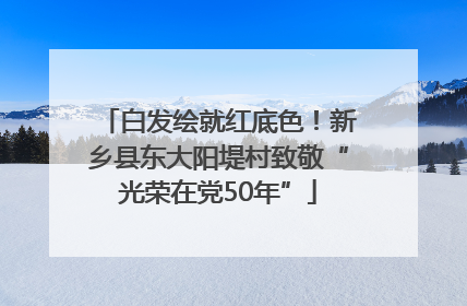 白发绘就红底色！新乡县东大阳堤村致敬“光荣在党50年”