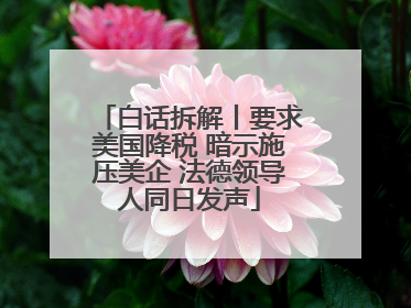 白话拆解丨要求美国降税 暗示施压美企 法德领导人同日发声