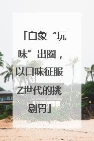 白象“玩味”出圈，以口味征服Z世代的挑剔胃