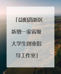益阳高新区新增一家省级大学生创业指导工作室
