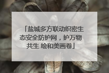 盐城多方联动织密生态安全防护网，护万物共生 绘和美画卷