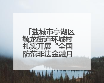 盐城市亭湖区毓龙街道环城村扎实开展“全国防范非法金融月”活动