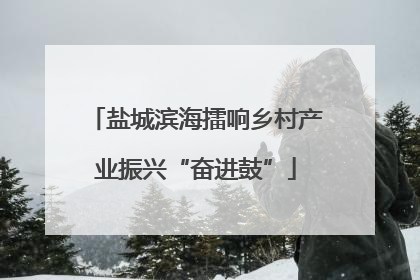 盐城滨海擂响乡村产业振兴“奋进鼓”