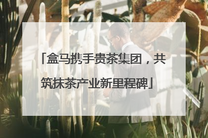 盒马携手贵茶集团，共筑抹茶产业新里程碑