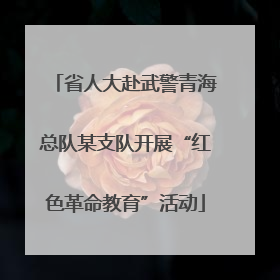 省人大赴武警青海总队某支队开展“红色革命教育”活动