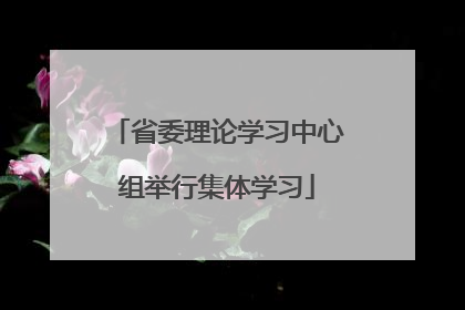 省委理论学习中心组举行集体学习