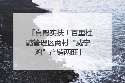 真帮实扶！百里杜鹃管理区两村“威宁鸡”产销两旺