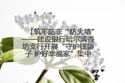 筑牢防非“防火墙”——建设银行哈尔滨香坊支行开展“守护钱袋子 护好幸福家”集中宣传日活动