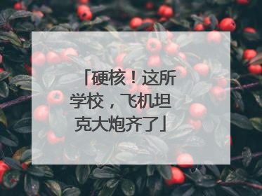 硬核！这所学校，飞机坦克大炮齐了
