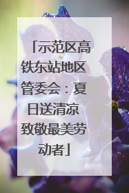 示范区高铁东站地区管委会：夏日送清凉 致敬最美劳动者