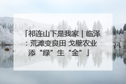 祁连山下是我家｜临泽：荒滩变良田 戈壁农业添“绿”生“金”