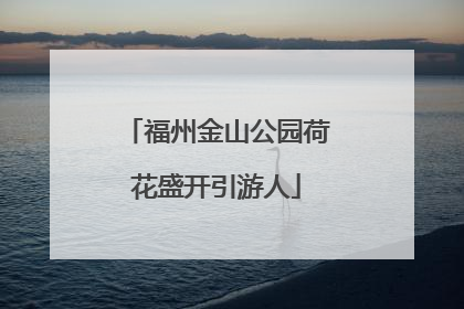 福州金山公园荷花盛开引游人