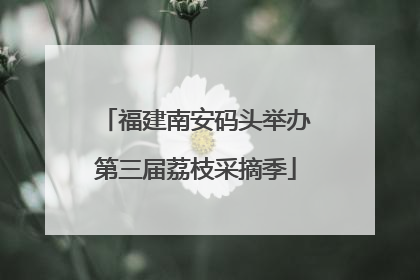 福建南安码头举办第三届荔枝采摘季
