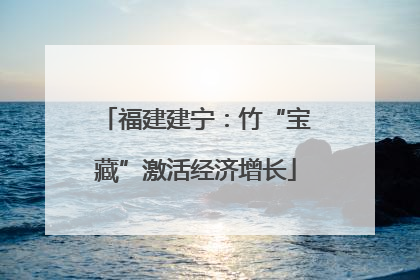 福建建宁：竹“宝藏”激活经济增长