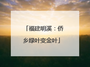 福建明溪：侨乡绿叶变金叶