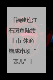 福建连江石斑鱼陆续上市 休渔期成市场“宠儿”