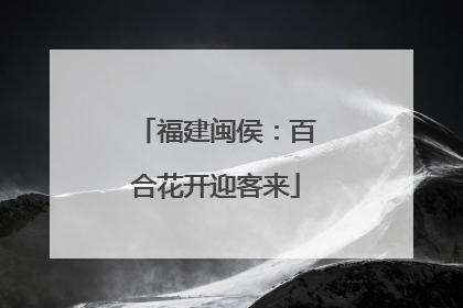 福建闽侯：百合花开迎客来