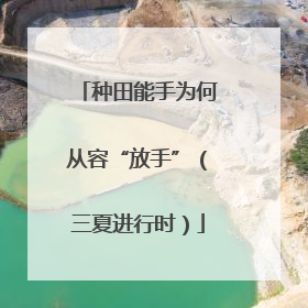 种田能手为何从容“放手”（三夏进行时）
