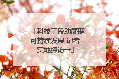 科技手段助麋鹿可持续发展 记者实地探访→