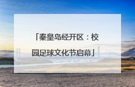 秦皇岛经开区：校园足球文化节启幕
