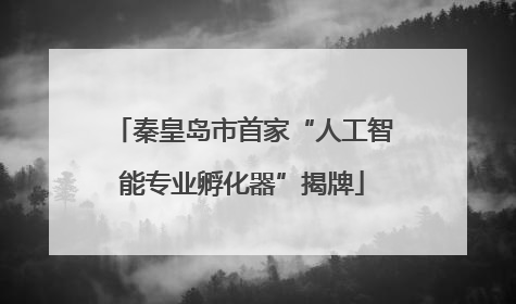 秦皇岛市首家“人工智能专业孵化器”揭牌
