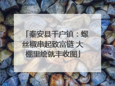 秦安县千户镇：螺丝椒串起致富链 大棚里绘就丰收图