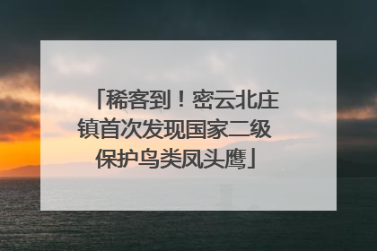 稀客到！密云北庄镇首次发现国家二级保护鸟类凤头鹰