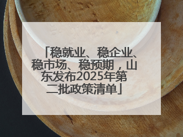 稳就业、稳企业、稳市场、稳预期，山东发布2025年第二批政策清单