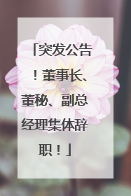 突发公告！董事长、董秘、副总经理集体辞职！