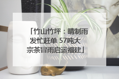 竹山竹坪：晴制雨发忙赶单 57吨大宗茶冒雨启运福建