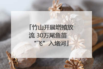 竹山开展增殖放流 30万尾鱼苗“飞”入堵河