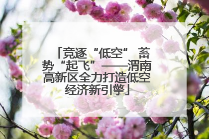 竞逐“低空” 蓄势“起飞”——渭南高新区全力打造低空经济新引擎