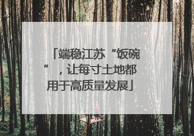 端稳江苏“饭碗”，让每寸土地都用于高质量发展