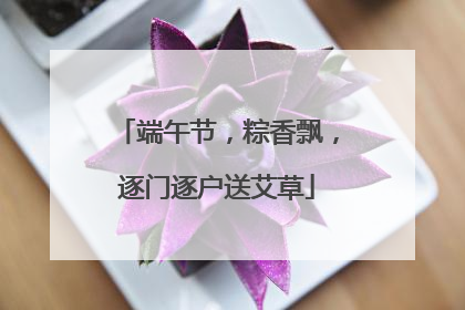 端午节，粽香飘，逐门逐户送艾草